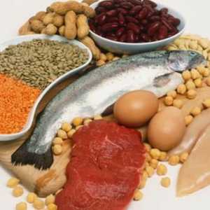 Proteini: koja su hrana sadržana