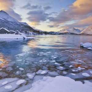 Белое море: проблемы моря экологические