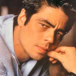 Benicio del Toro (Benicio del Toro): filmografija i osobni život glumca