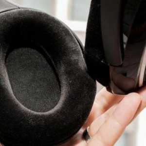 Bežične slušalice `Sinhayzer`: opis, tehnička svojstva, modeli i recenzije