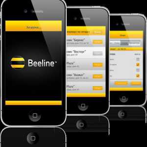 "Beeline", internet: recenzije, tarife. Početna Internet `Beeline`:…