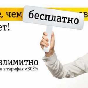 "Beeline" - Internet u roamingu u Rusiji i inozemstvu. Kako povezati Internet u roamingu…