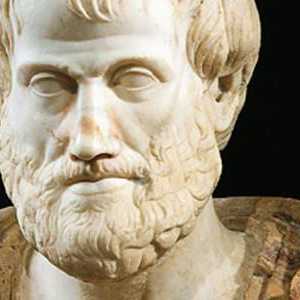 Biografija Aristotela: ukratko o drevnom grčkom filozofu