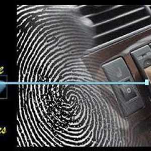 Sustavi biometrijske zaštite: opis, karakteristike, praktična primjena