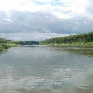 Битюг, река. Местоположение, флора и фауна