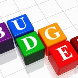 Proračunska klasifikacija troškova