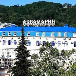 Budgetary pansion `Aquamarin` (područje Khostinsky / Sochi)