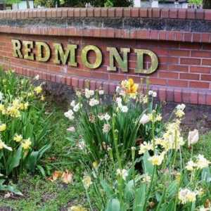 Blender `Redmond`: recenzije. Specifikacije, cijene, fotografije