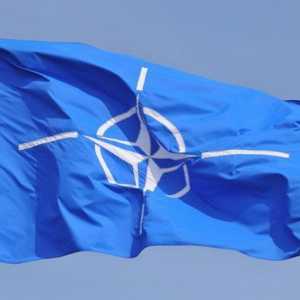 NATO blok. Članovi NATO-a. NATO oružje