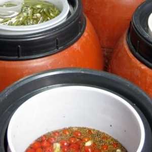 Barrel rajčice: recept za ukusan snack