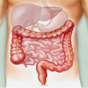 Bol u crijevima u donjem dijelu trbuha: simptomi i uzroci. Dijeta za bol u crijevu