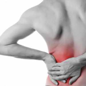 Bol u leđima i trbuhu: uzroci, liječenje, simptomi