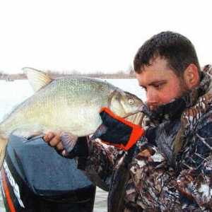 Большая рыбалка в Краснодаре: платные базы отдыха