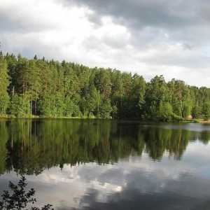 Veliki Simaginskoye jezero je mjesto za odmor i ribolov