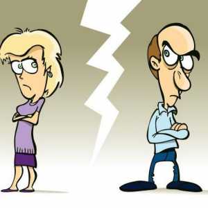 Postupak razvoda i njegove posljedice. Koliko dugo traje razvod?