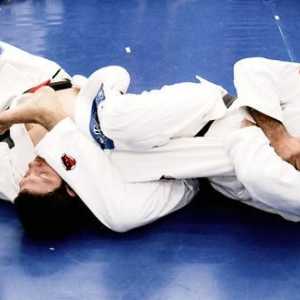 Brazilski Jiu-Jitsu - povijest, tehnologija, sport