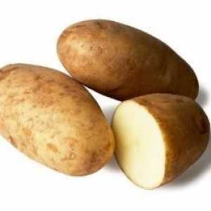 "Breeze" - krumpir visoke produktivnosti s izvrsnim okusom