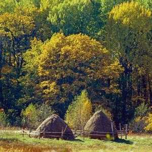 `Bryansk Forest` je rezidencija biosfere pod pokroviteljstvom UNESCO-a