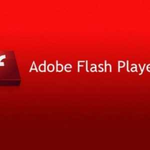 Dodaci za preglednik: Adobe Flash Player. Omogući, ažuriraj, izbriši - kako?