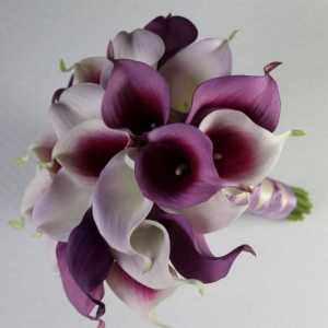 Bouquet vjenčanica (fotografija)