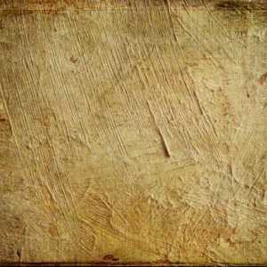 Papir od drva: od kojeg je izrađen