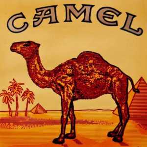 CAMEL - cigarete s puno povijesti