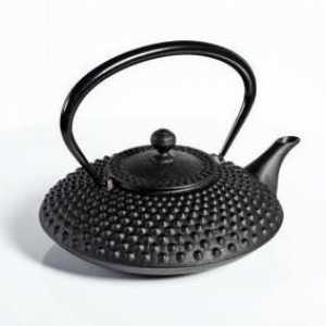 Čajnik za pripremu čaja: pregled, vrste, značajke i recenzije