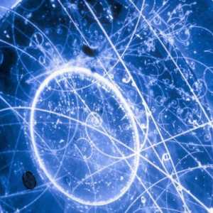 Čestica neutrina: definicija, svojstva, opis. Oscilacije neutrina su ...