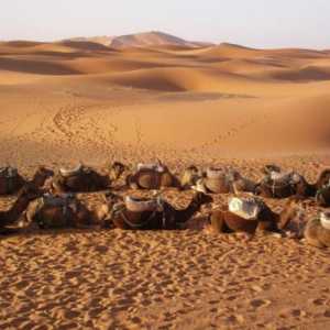 Što je karakteristično za Arapske pustinje i gdje se nalaze?
