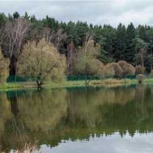 Što je zanimljivo za park šuma Bakov za turiste?