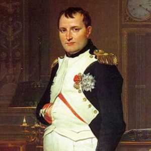 Чем можно объяснить многонациональный состав армии Наполеона: причины и следствия