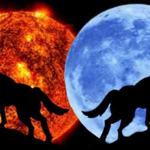 Koja je razlika između Mjeseca i Sunca? Analiza `mjesečnih letova`