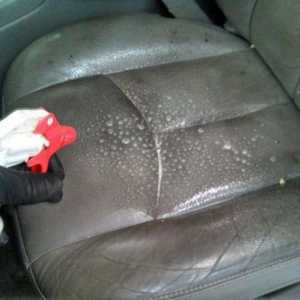 Što čistiti unutrašnjost automobila vlastitim rukama: znači i korisne preporuke