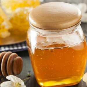 Što je korisna livada meda?