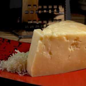 Kako zamijeniti parmezan u Cezaru? Kakav sir može biti zamijenjen parmezanom?