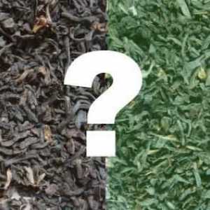 Što zeleni čaj razlikuje od crne: korisne osobine, značajke prikupljanja i prerade, načini…