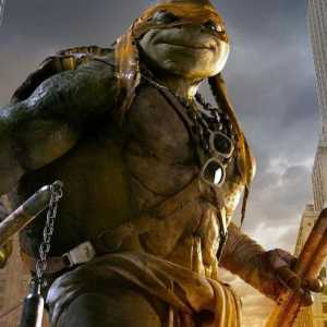Ninja Turtles Michelangelo: fotografija, kostim, oružje
