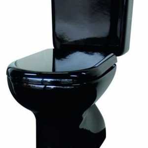 Crni toalet WC: fotografija, prednosti i nedostaci, mogućnosti kupaonskog dizajna