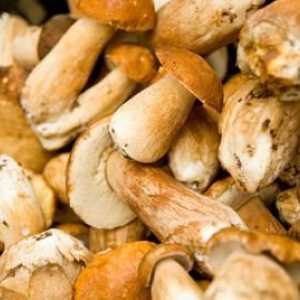 Što učiniti s bijelim gljivama sakupljenim u šumi ili kupiti u trgovini: savjeti i recepti