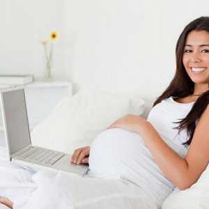 Što kaže Zakon o radu: jednostavan posao za trudnoću, uvjete, plaćanje, značajke prijenosa