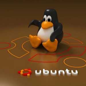 Što je bolje - Xubuntu ili Lubuntu? Stručni recenzije