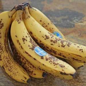 Što možete napraviti od banane: recepti, fotografije