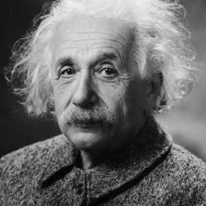 Koje su knjige Albert Einsteina?