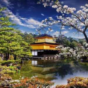 Što vidjeti u Kyotu? Japanska prefektura iznenađuje turiste s jedinstvenim znamenitostima
