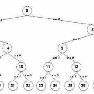 Što je algoritam s granama? Primjeri i definicija algoritama grananja