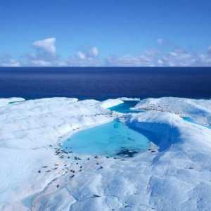 Što je Arktik i Antarktik? Granica Arktika. Područje Arktika. Zemljopisni položaj Arktika