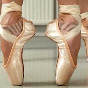 Što je balet - ples ili let duše