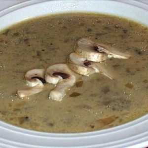 Što je micelij: recept od juhe
