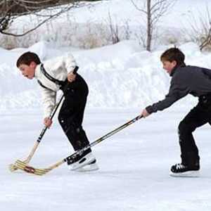 Što je hokej i koja su pravila igre. Što je hokej na ledu i kako se razlikuje od hokeja na travi