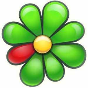 Što je ICQ? Kako instalirati ICQ za Windows ili Android